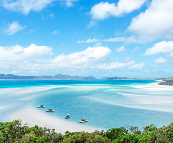 at Marina Shores - Gallery Image