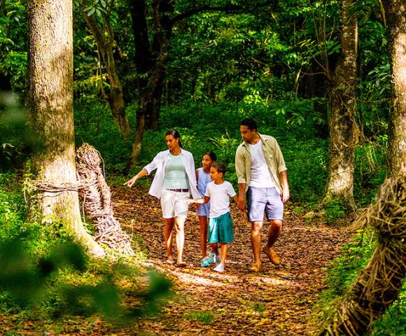 Intercontinental Fiji Golf Resort & Spa - Gallery Image