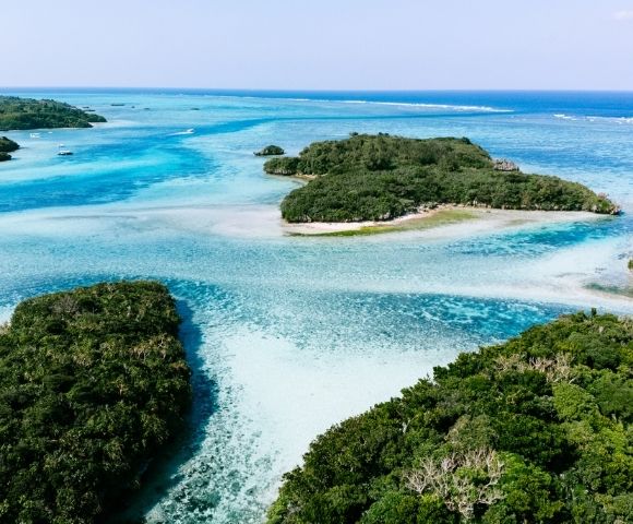 Autumn Shores of Japan | Shanghai to Hong Kong - Gallery Image