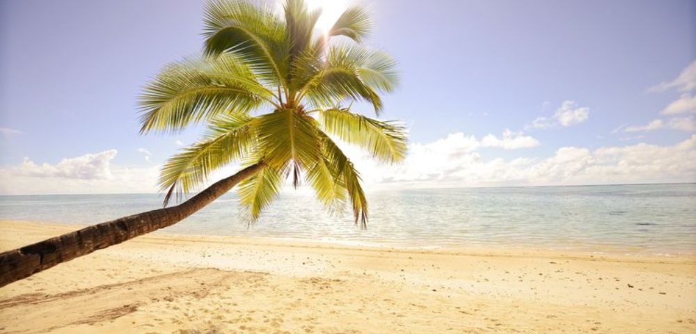 MY-HOLIDAY-Palm-Tree-and-beach-view-at-Tamanu-Beach-Resort-in-Cook-Islands