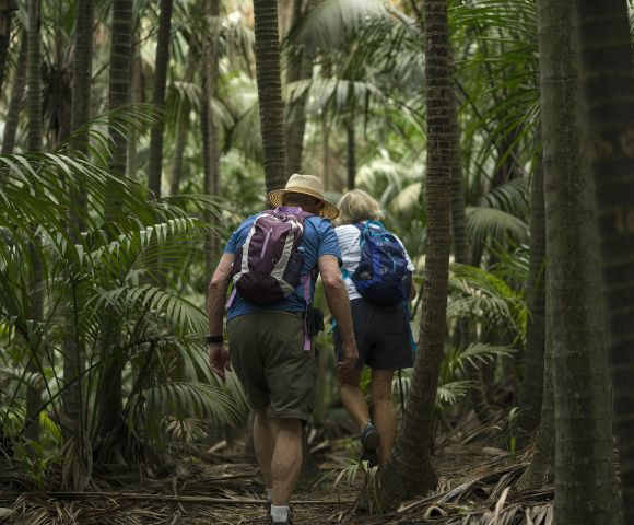 MY-HOLIDAY-Rainforest-Walk-at-Arajilla-Retreat-Lord-Howe-Island-in-New-South-Wales