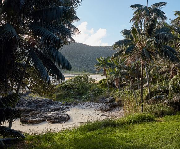 MY-HOLIDAY-Lord-Howe-Island-Beach-in-New-South-Wales