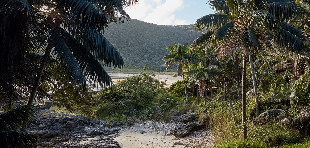 MY-HOLIDAY-Lord-Howe-Island-Beach-in-New-South-Wales