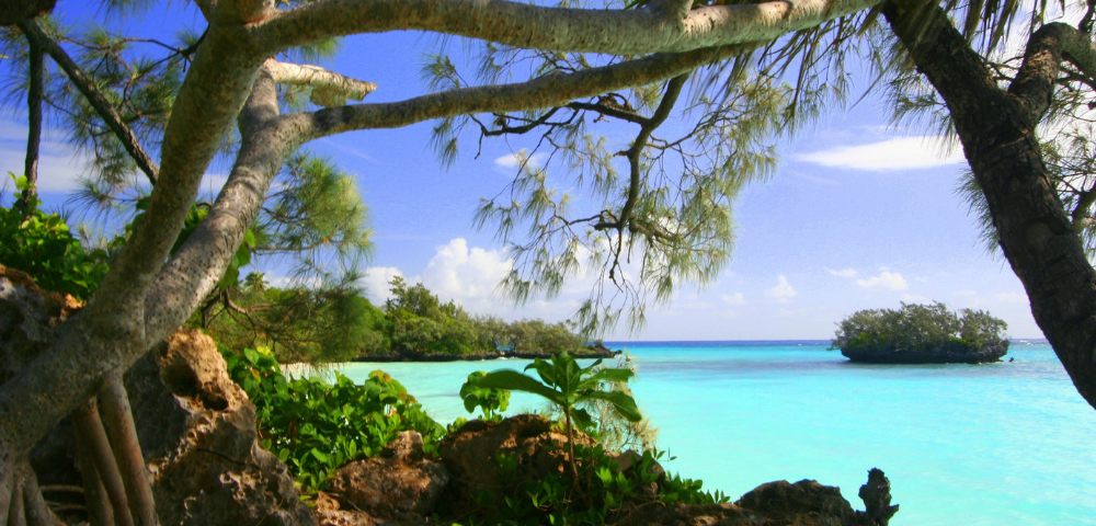 Australia Zoo & Sunlit South Pacific Image 4