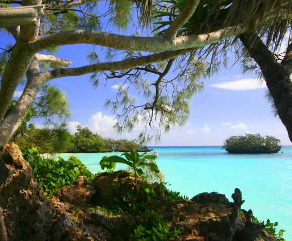 Australia Zoo & Sunlit South Pacific Image 4