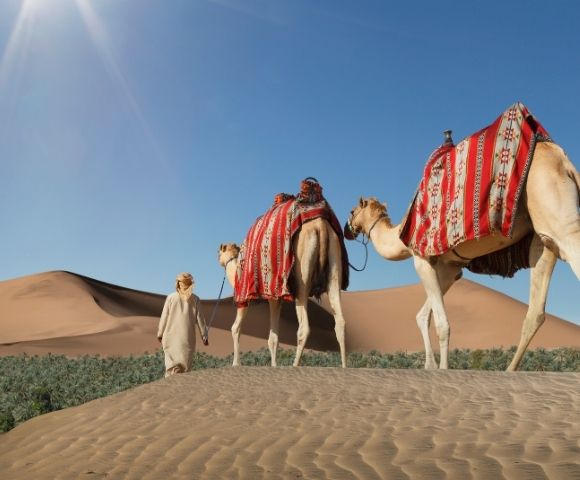African Skies & Arabian Nights Exploration - Gallery Image