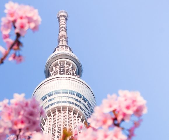 Breathtaking Blossoms of Japan 2027 - Gallery Image