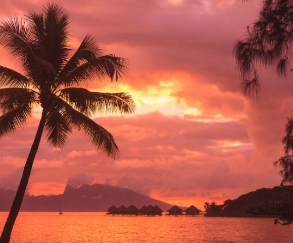 Epic Polynesian Escape - Gallery Image