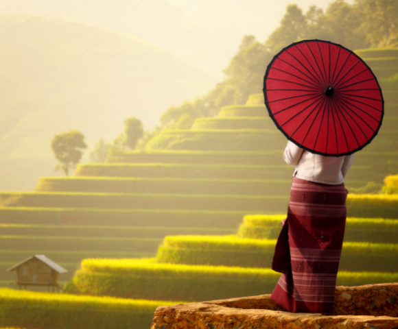 Singapore, Bangkok, Great Barrier Reef & Beyond - Gallery Image