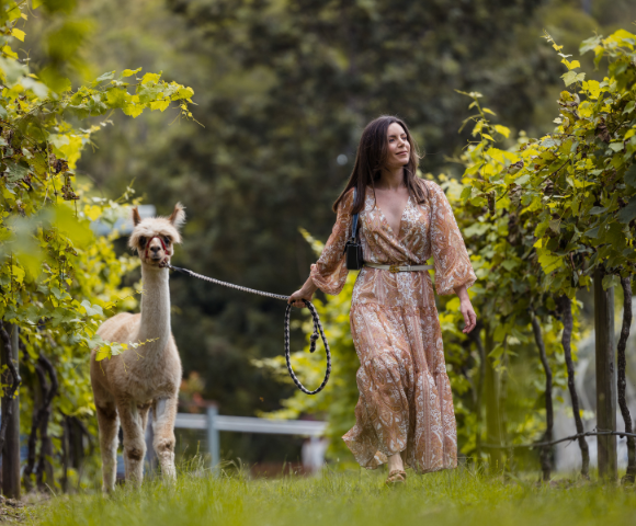 Gold Coast Shores & South Pacific Escape - Gallery Image