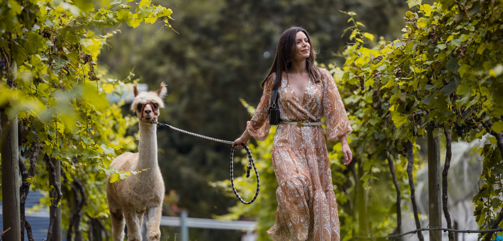 Gold Coast Shores & South Pacific Escape - Gallery Image