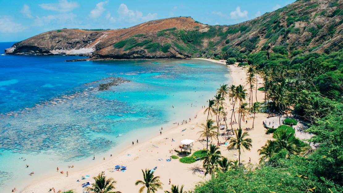 Print Stylesheet Image