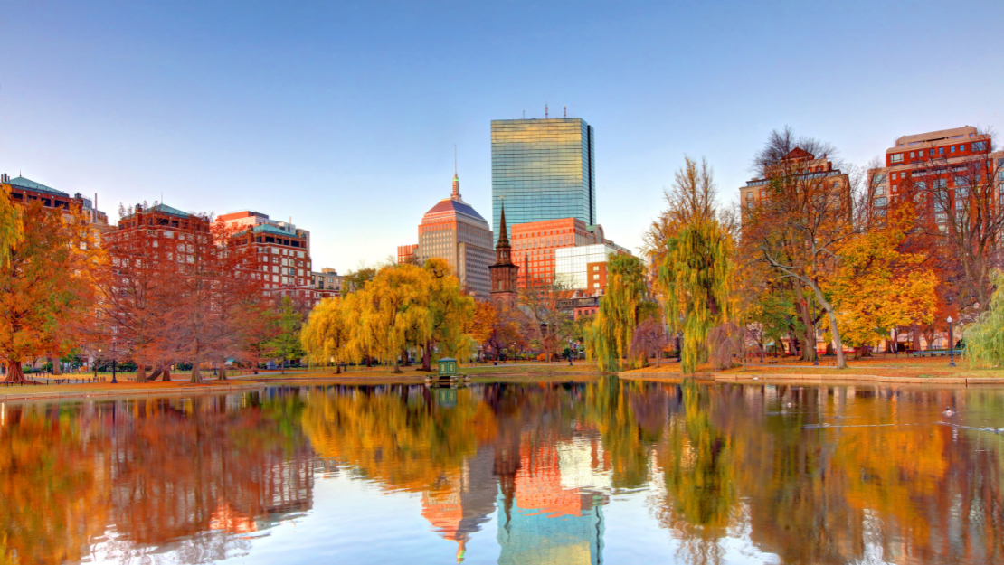 Print Stylesheet Image