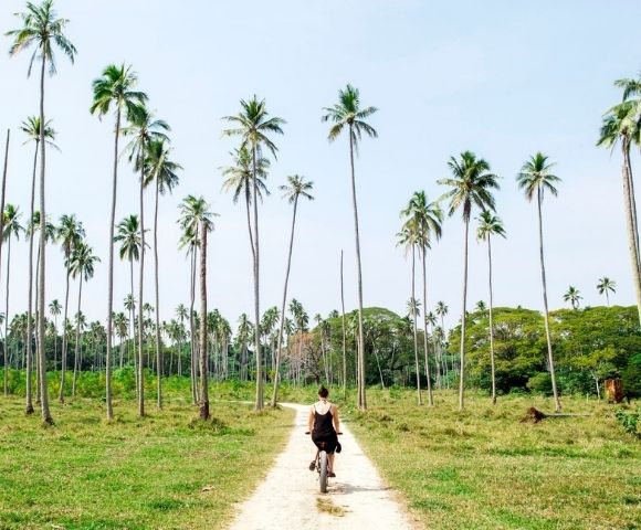 Aore Island Resort - Gallery Image