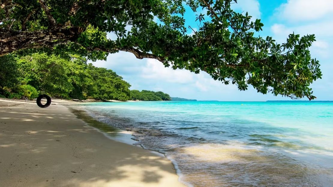 Print Stylesheet Image