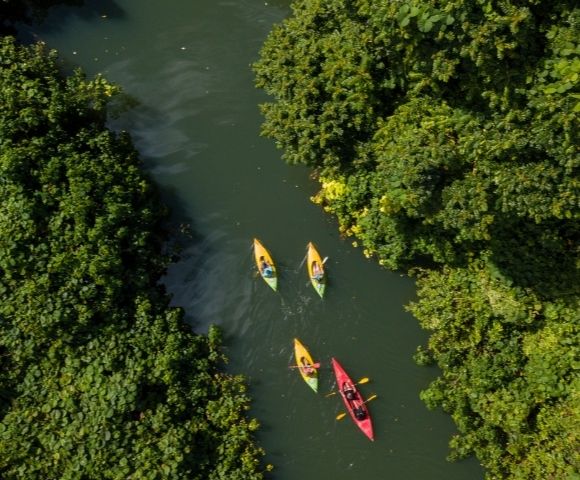 Vanuatu Eco Tours - Gallery Image