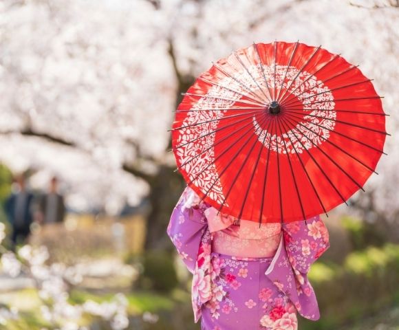 Breathtaking Blossoms of Japan 2027 - Gallery Image