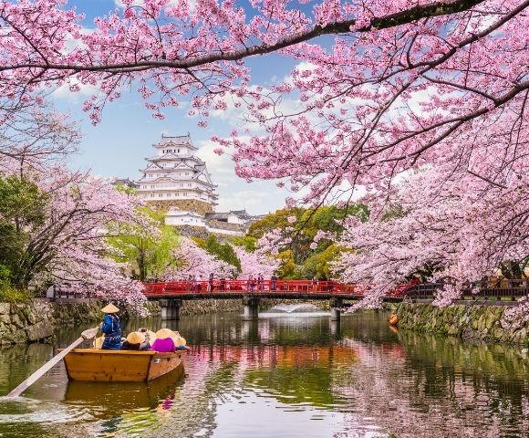 Breathtaking Blossoms of Japan 2027 - Hero Image