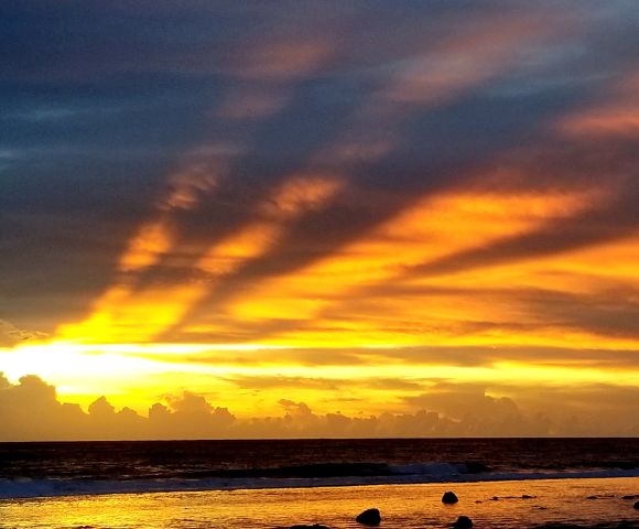 Ocean Escape Resort & Spa Image 4