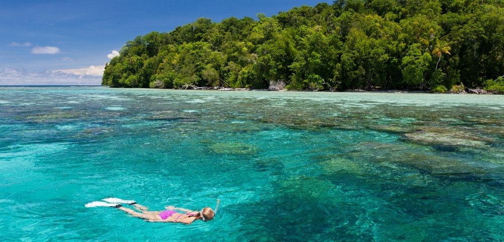Person snorkeling in clear blue water near a tropical forest-covered island.