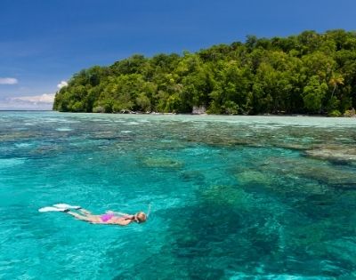 Person snorkeling in clear blue water near a tropical forest-covered island.
