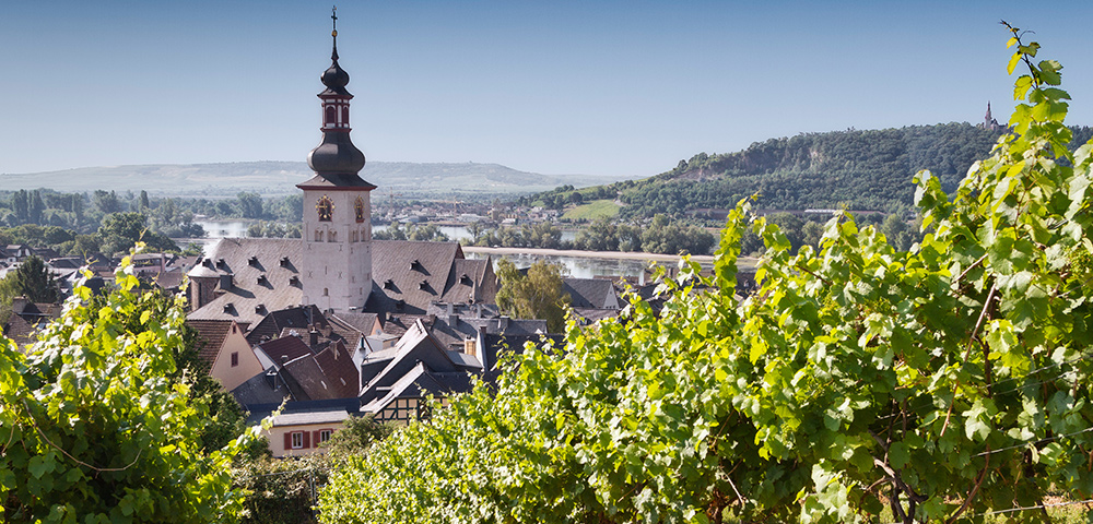 Image of vineyards and building in Rudesheim Germany