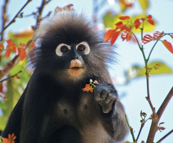 Golden Shores of Asia | Singapore to Bali Image 4