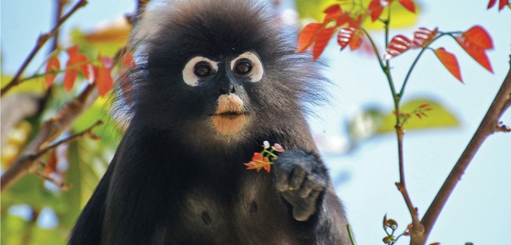 Golden Shores of Asia | Singapore to Bali Image 4