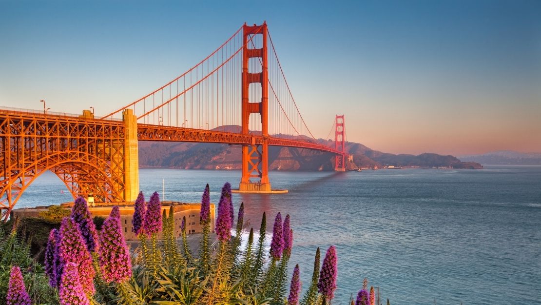 Print Stylesheet Image