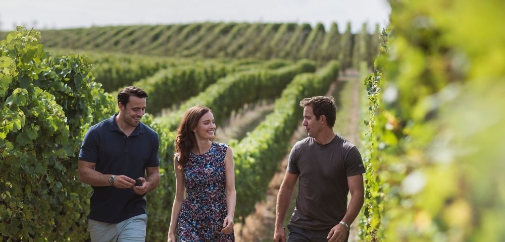 Sounds of Aotearoa & Sydney Nights - Gallery Image