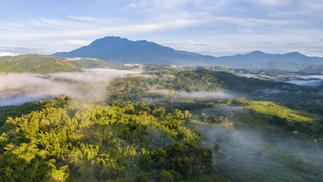 Print Stylesheet Image