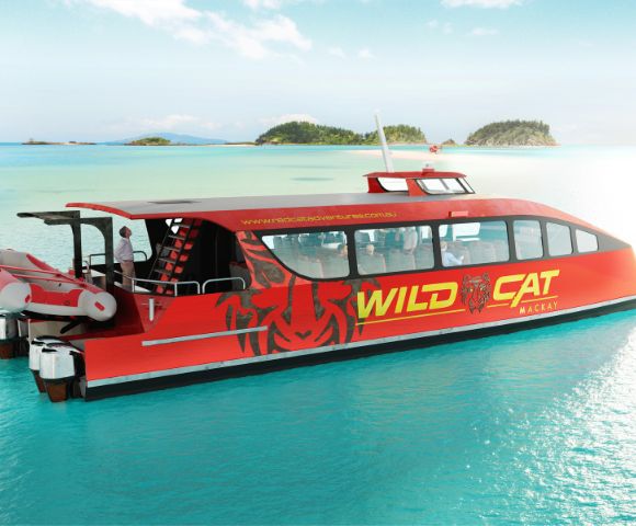 Red and black passenger boat named 'WILD CAT' moored on a clear blue sea near islands.