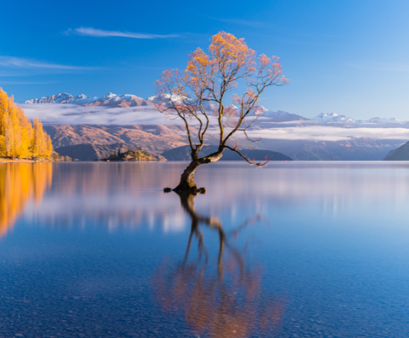10 Day Scenic South Island Rail & Coach Tour - Gallery Image
