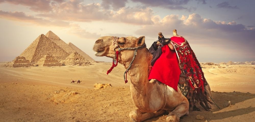 Journey Through Ancient Splendour: Athens to Barcelona | Exploration Image 4