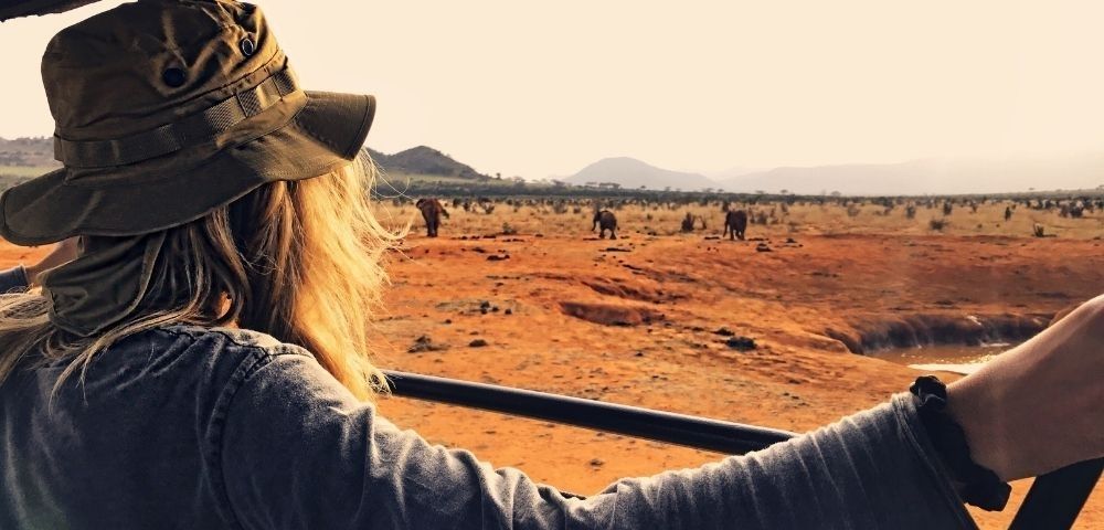 Person in a safari hat looking at elephants in the distance on a savanna.