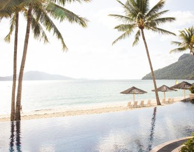 Tropical beach resort with pool, straw umbrellas, palm trees, and a mountain backdrop at the Beach Club Hamilton Island My Queensland.
