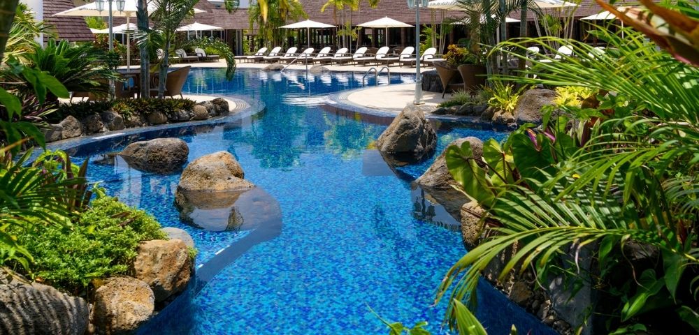 Tropical resort pool with loungers, surrounded by lush plants and palm trees.