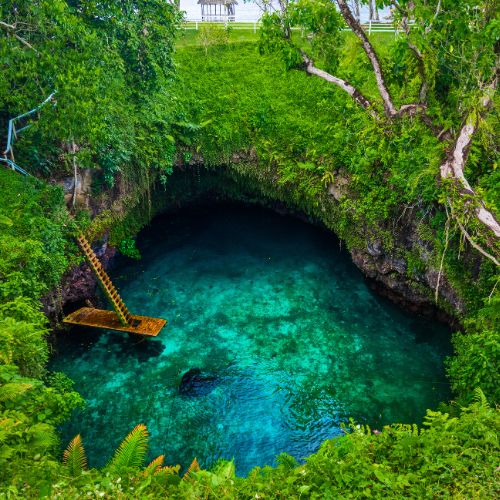 Aerial view of a crystal-clear blue natural pool surrounded by lush greenery with a wooden ladder.