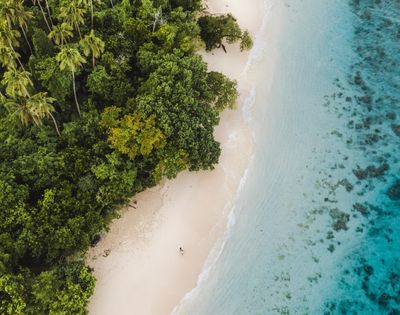 Aerial view of a tropical beach with lush trees, white sand, and clear blue waters.