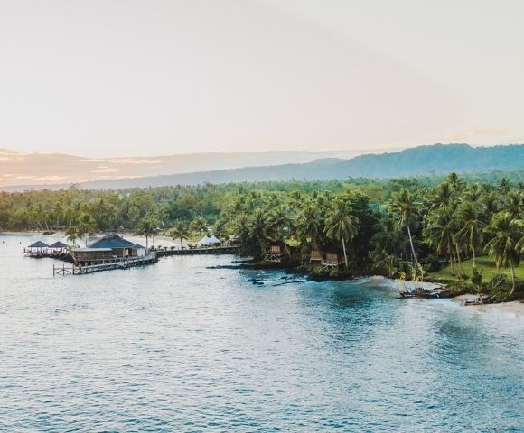 Aerial view of a serene tropical coastline with palm trees and huts over clear water.