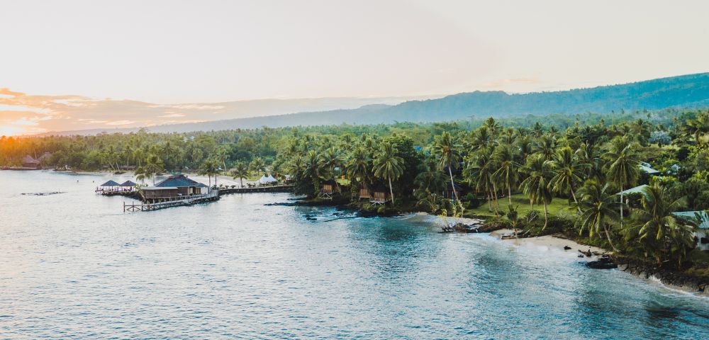 Aerial view of a serene tropical coastline with palm trees and huts over clear water.