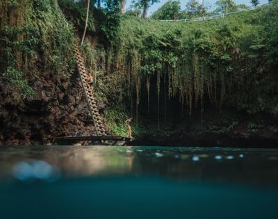Person standing by water near a ladder leading up to a lush cliff with hanging vines.