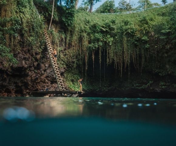 Person standing by water near a ladder leading up to a lush cliff with hanging vines.