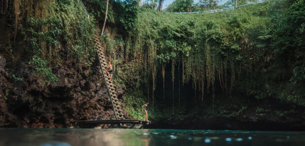 Person standing by water near a ladder leading up to a lush cliff with hanging vines.