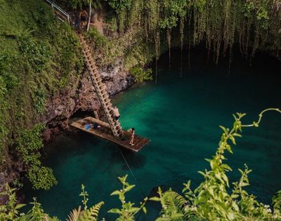 Wooden platform with a ladder over a serene blue water hole, surrounded by lush greenery.