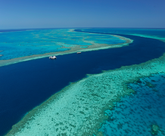 Whitsunday Apartments Image 2