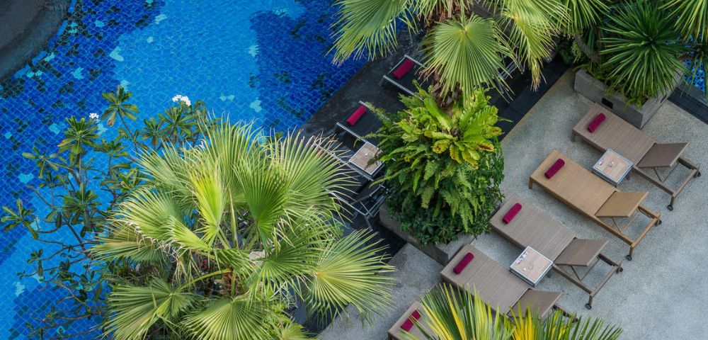 Aerial view of a blue-tiled swimming pool with surrounding palm trees and lounge chairs.