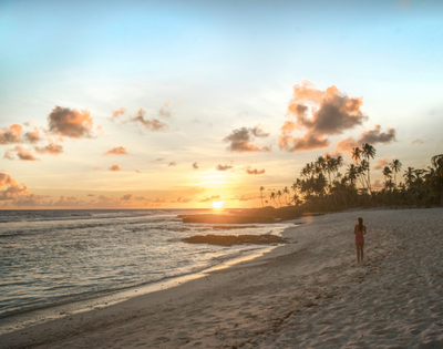 Person on a beach at sunset with palm trees and orange clouds in the sky.