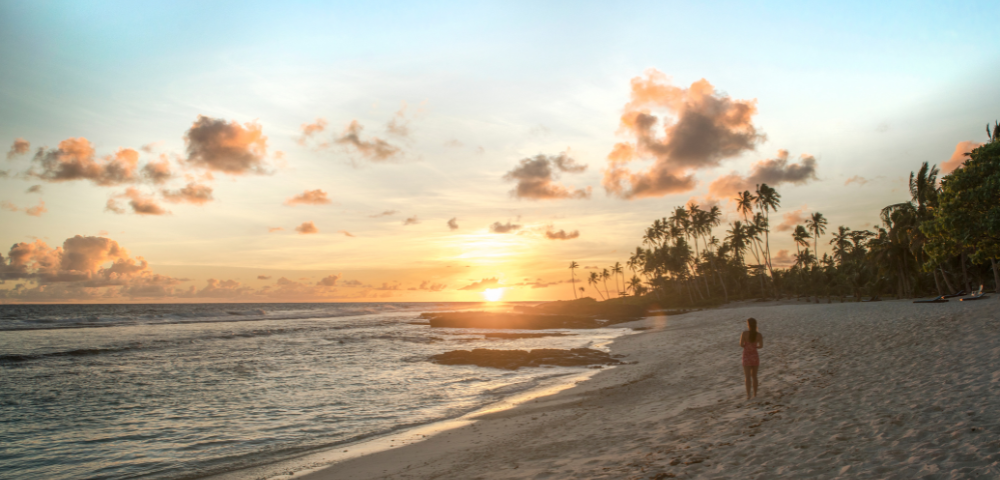 Person on a beach at sunset with palm trees and orange clouds in the sky.