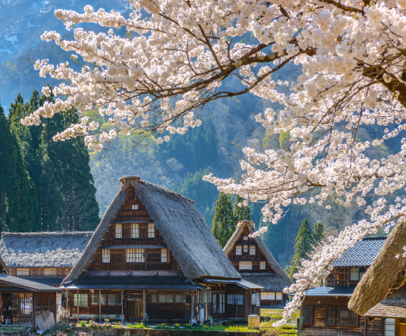 Best of Japan Main Image